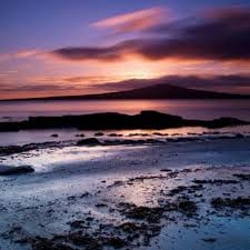 ندا ڈار avatar