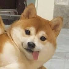 Iftikhar Ahmed profile picture