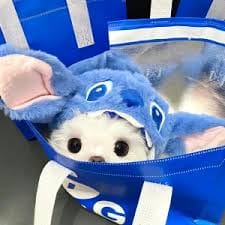 اسحاق ڈار avatar